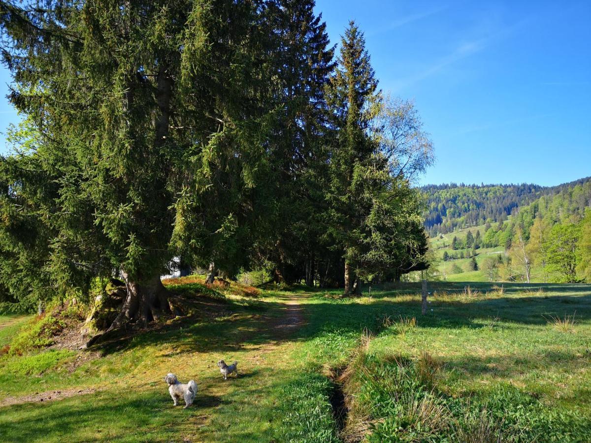 B4 Albmatte Apartment Menzenschwand-Hinterdorf Exterior foto